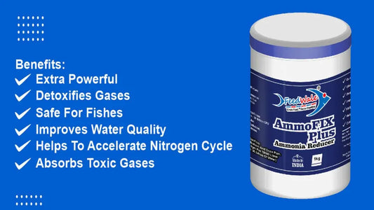 How to Control Ammonia and Toxic Gases in Aquaculture Fish Farming