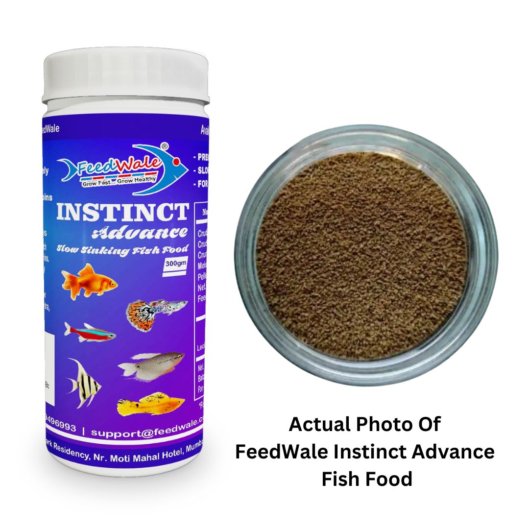 Instinct Fish Food