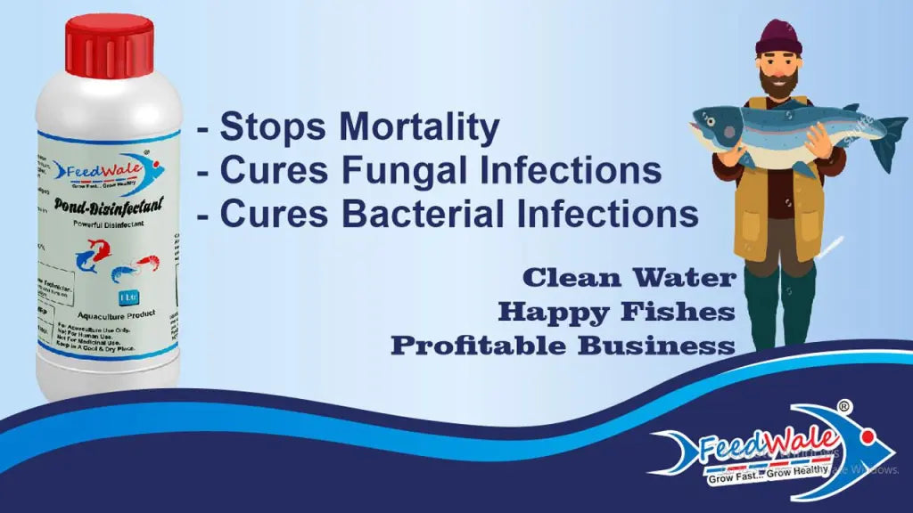 FeedWale BKC 50% Pond Disinfectant for Fish Farming
