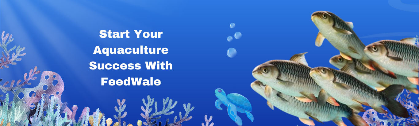 Start Your Aquaculture Success With FeedWale
