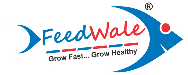 FeedWale