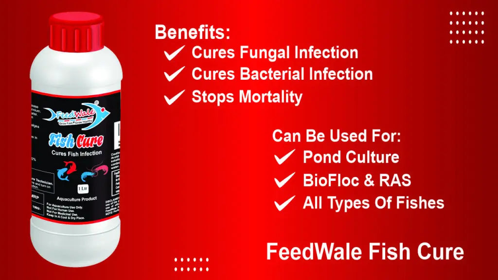 FeedWale Fish Cure 1 Litre BKC 80% for Red Disease Infections