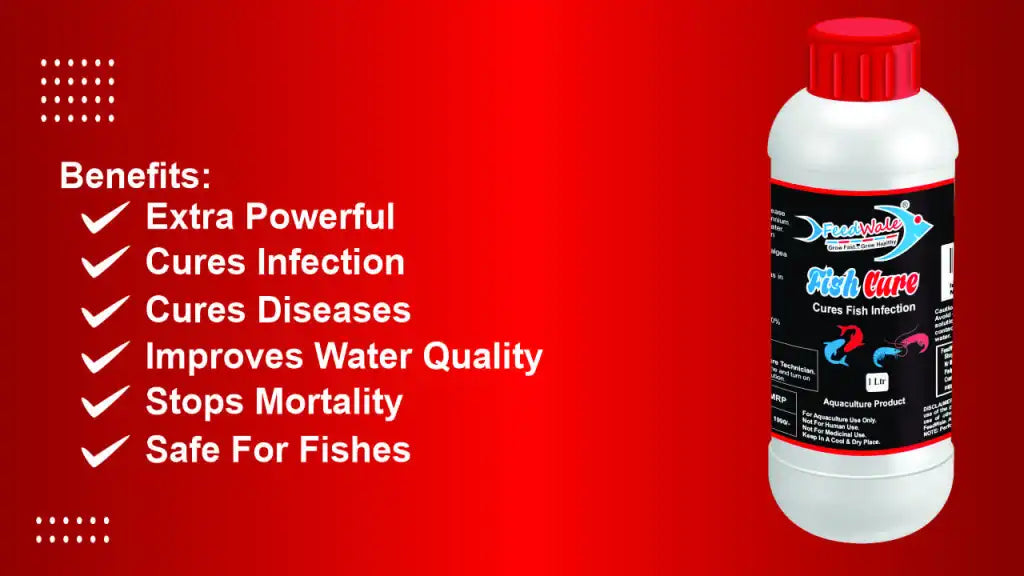 FeedWale Fish Cure 1 Litre BKC 80% for Red Disease Infections