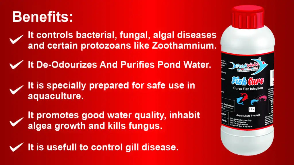 FeedWale Fish Cure 1 Litre BKC 80% for Red Disease Infections