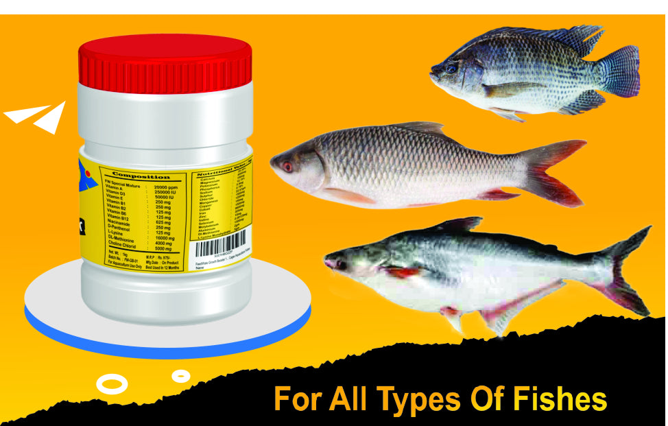 FeedWale Growth Booster for Fish (1Kg)