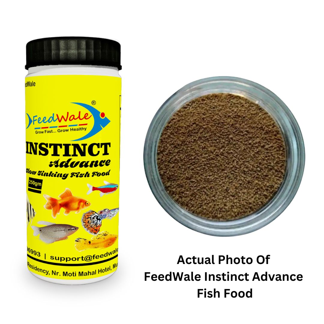 High Quality Fish Food