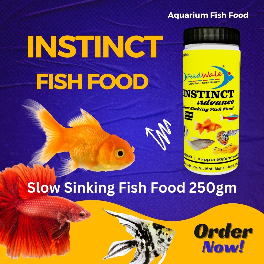Slow Sinking Fish Food