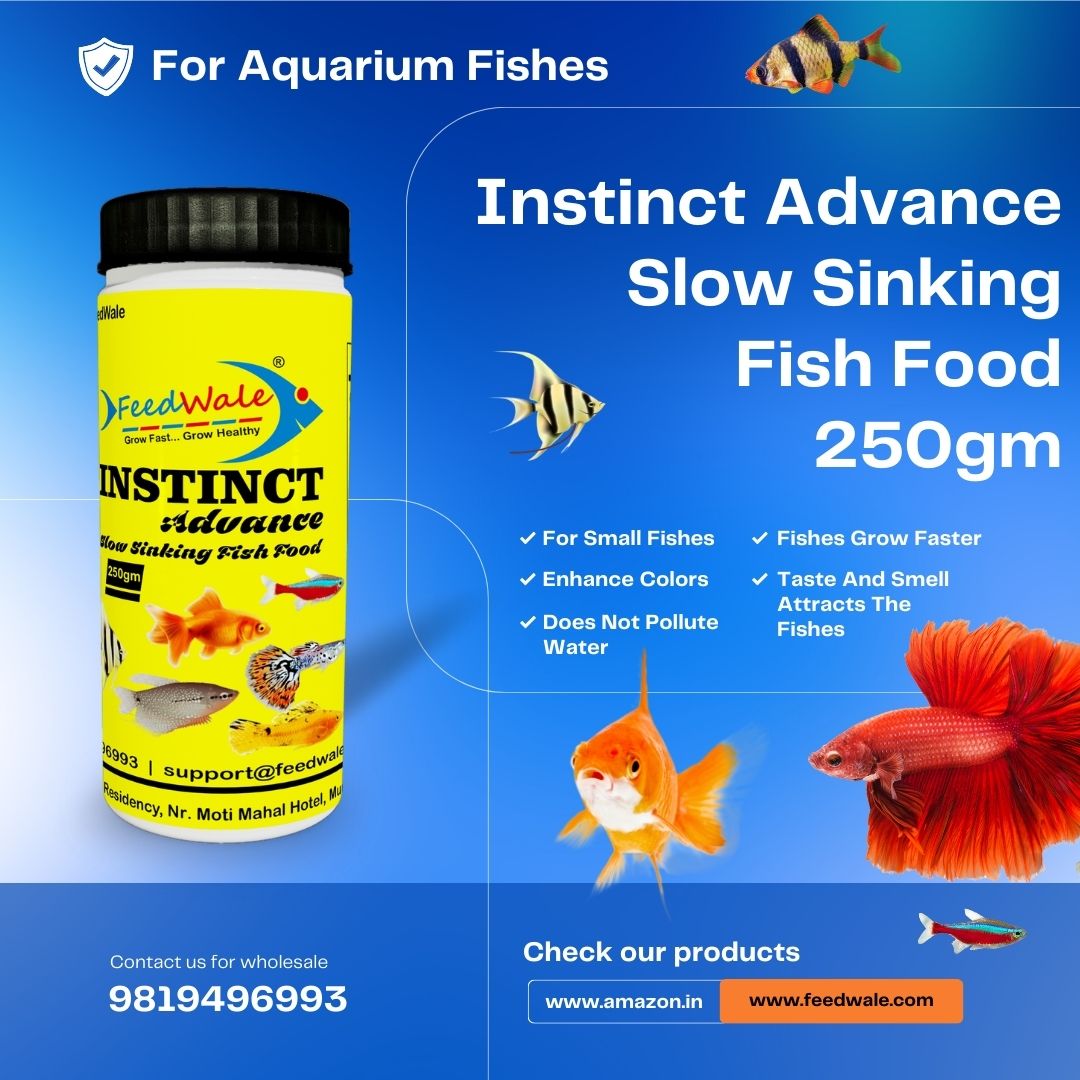 Best Aquarium Fish Food