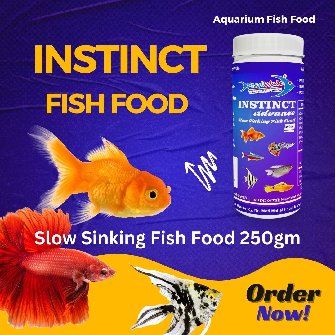 Aquarium Fish Food