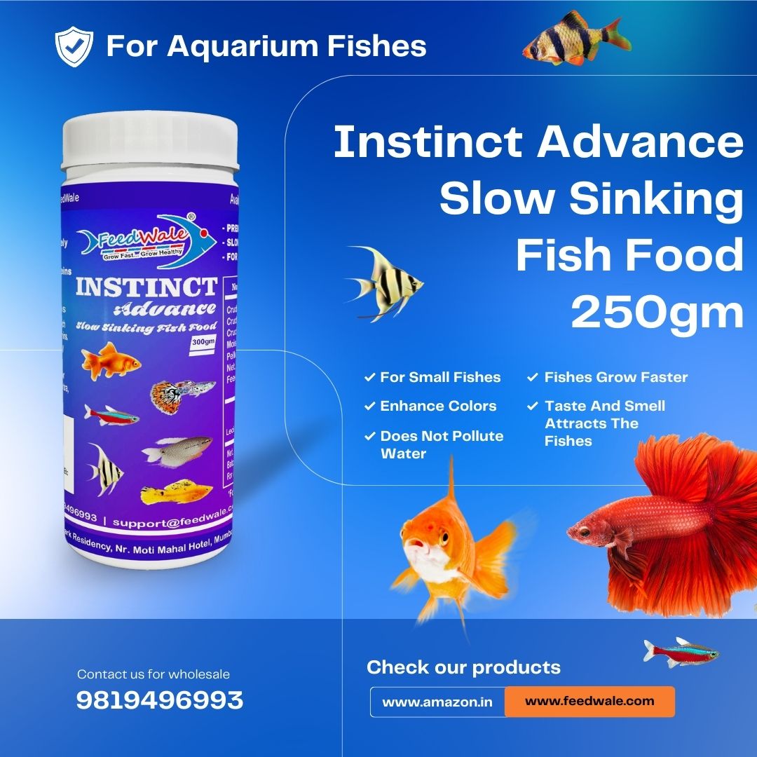 Best Aquarium Fish Food