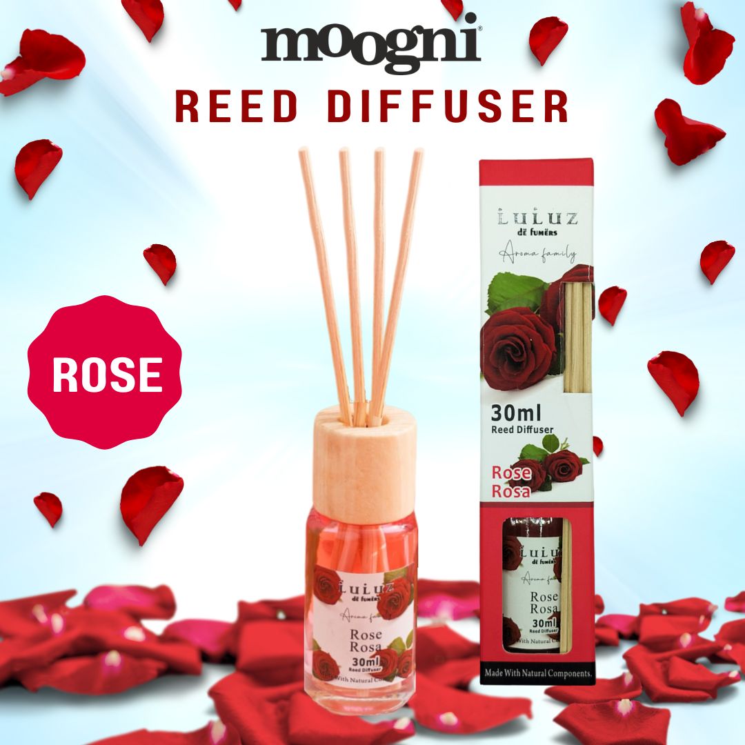 Reed Diffuser Luluz