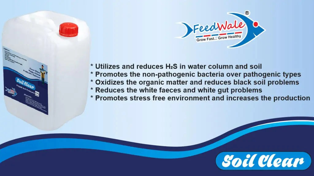 Soil Clear FeedWale Liquid Probiotics for Ponds – 20 Litre Can