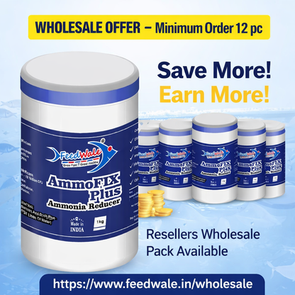 12 pcs FeedWale AmmoFix Plus | Wholesale Pack