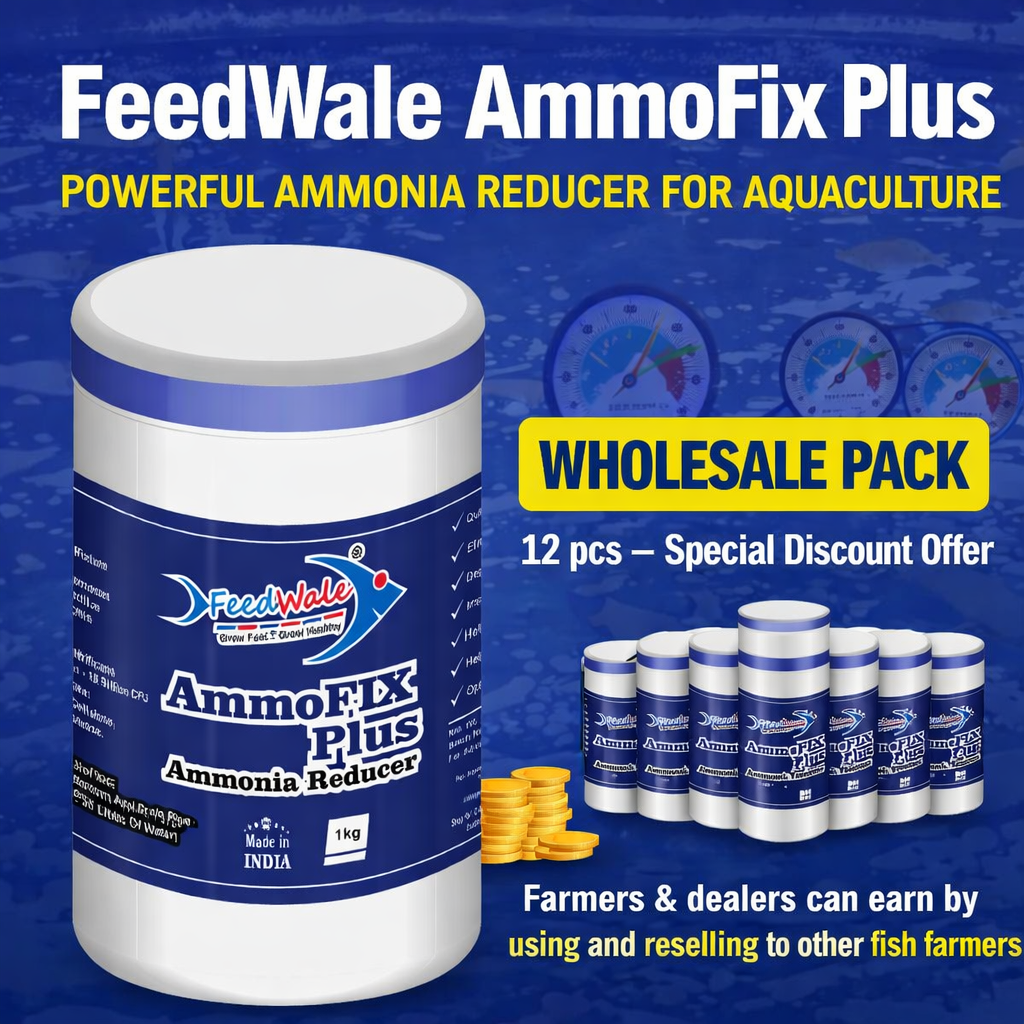 12 pcs FeedWale AmmoFix Plus Wholesale Pack