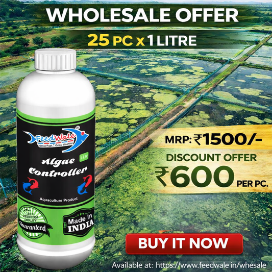 25 FeedWale Algae Controller (1 Litre x 25pcs = 25 Litres) – Wholesale Pack