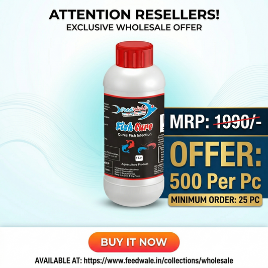 25pc FeedWale Fish Cure BKC 80% (1 Litre x 25pcs)