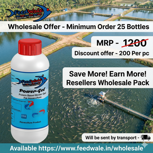 25pc FeedWale Power Gel (1 Litre x 25pcs = 25 Litres) – Wholesale Pack