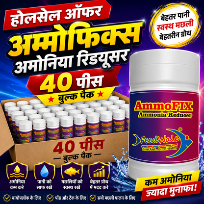 40Pc FeedWale Ammofix Ammonia Detoxifier for Fish Farming