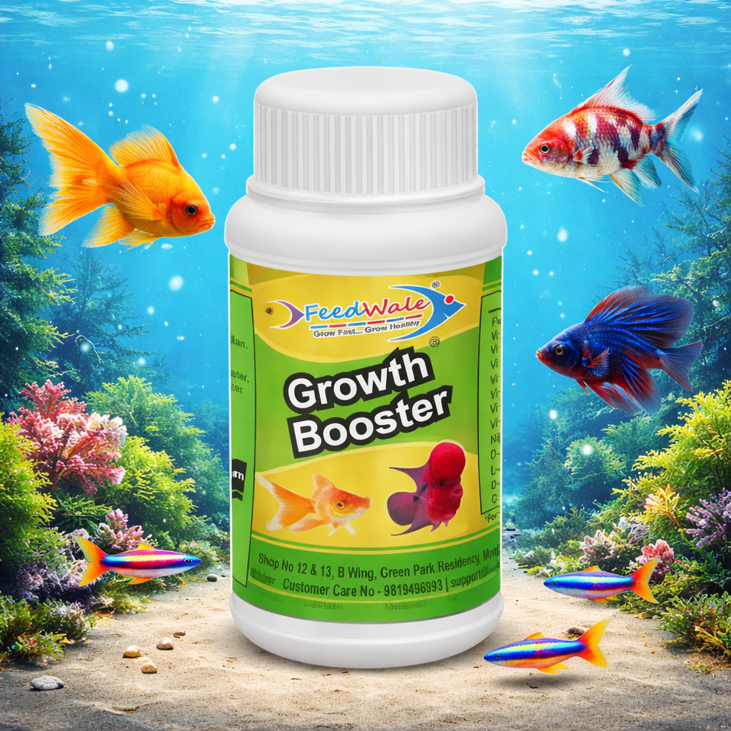 Best Fish Feed Additive for Growth Weight Gain and Disease Resistance