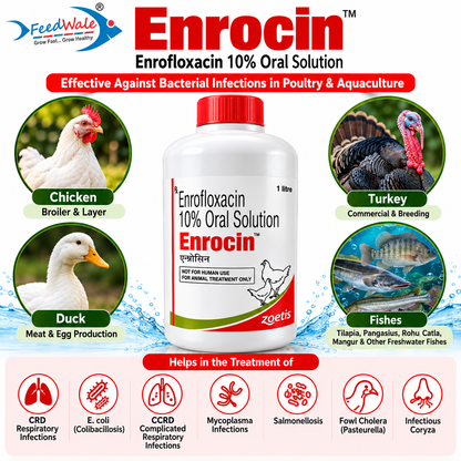 enrocin-bacterial-infection-treatment-poultry