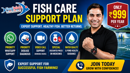 FeedWale Fish Care Support Plan