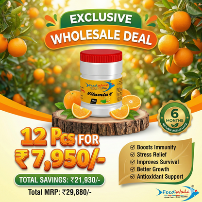 12pc Of FeedWale Vitamin C Fish Feed Supplement (12 Packs Of 1kg Each)