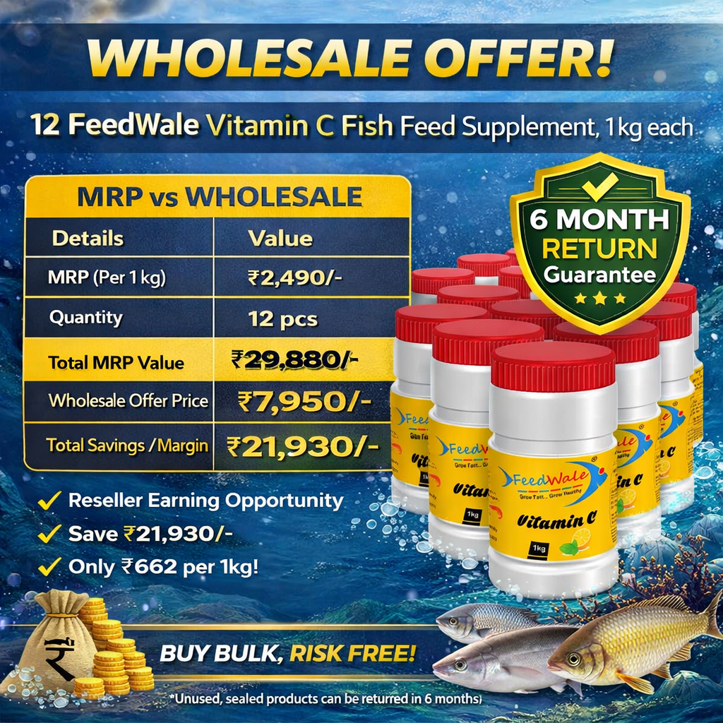 12pc Of FeedWale Vitamin C Fish Feed Supplement (12 Packs Of 1kg Each)
