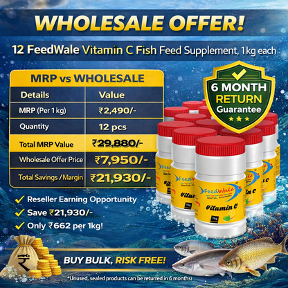 12pc Of FeedWale Vitamin C Fish Feed Supplement (12 Packs Of 1kg Each)