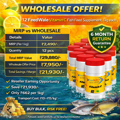 12pc Of FeedWale Vitamin C Fish Feed Supplement (12 Packs Of 1kg Each)