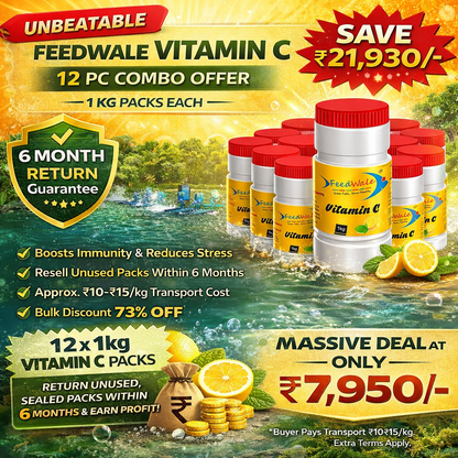 12pc Of FeedWale Vitamin C Fish Feed Supplement (12 Packs Of 1kg Each)