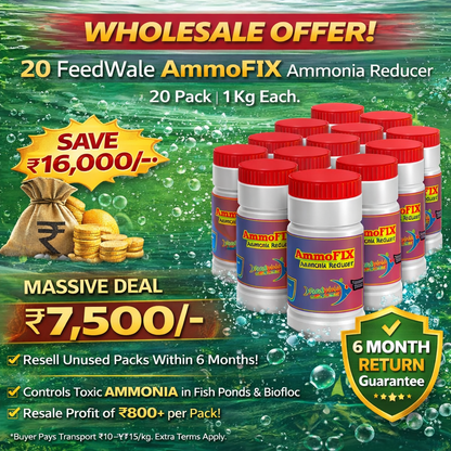 20pc FeedWale AmmoFIX Ammonia Reducer (20 Pack Of 1Kg)