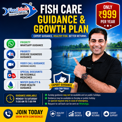 FeedWale Fish Care Support & Guidance Plan