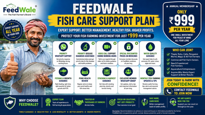 FeedWale Fish Care Support Plan