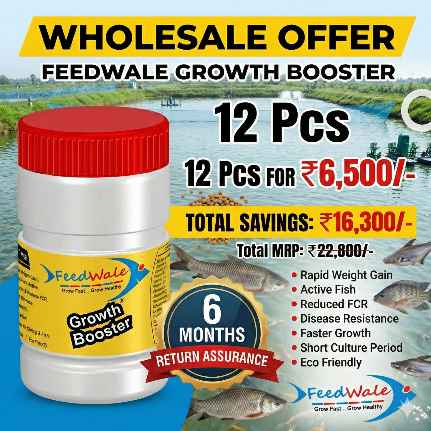 12pc FeedWale Growth Booster For All Kind of Fishes