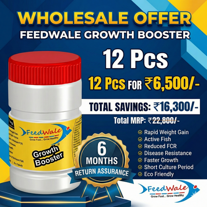 12pc FeedWale Growth Booster For All Kind of Fishes