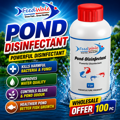 100Pc FeedWale Pond Disinfectant BKC 50% for Fish Farming