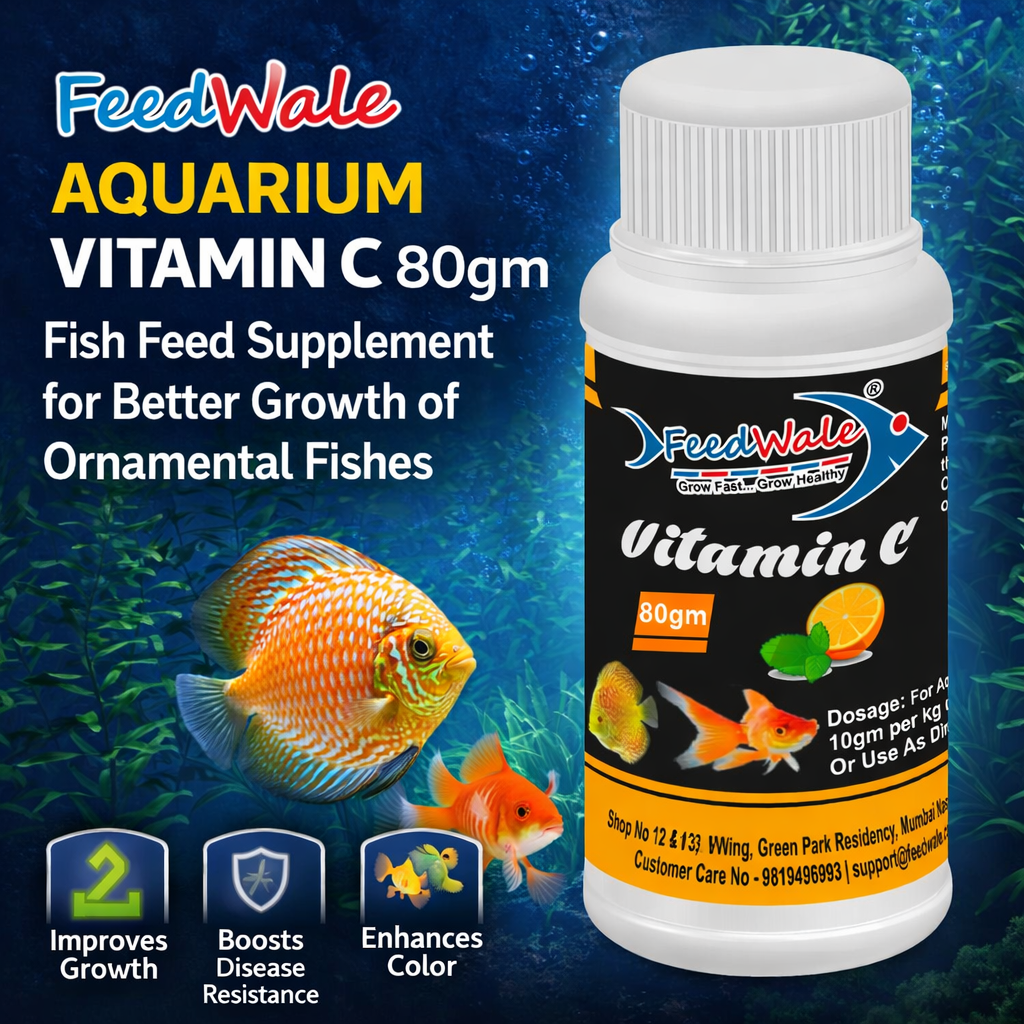 Fish Immunity Booster Supplement for Faster Growth Stress Relief and Disease Prevention