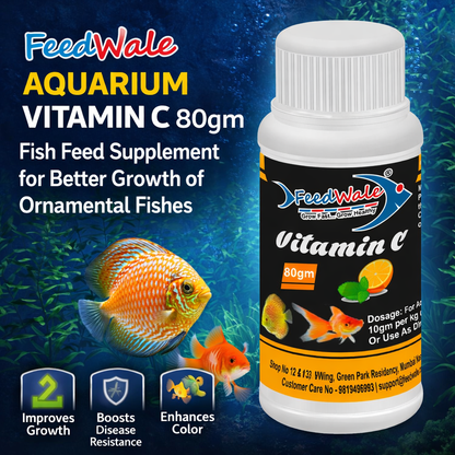 Fish Immunity Booster Supplement for Faster Growth Stress Relief and Disease Prevention