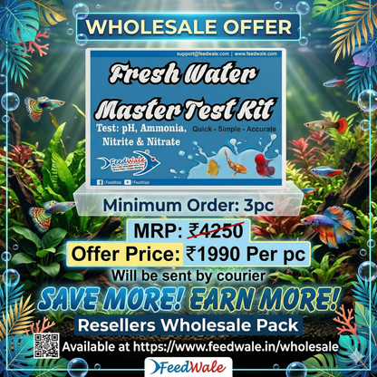 3pc FeedWale Freshwater Master Test Kit – Wholesale Pack