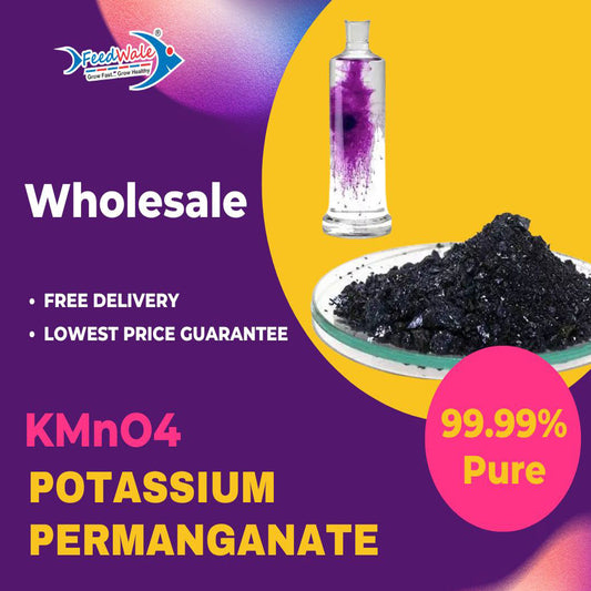 Potassium-Permanganate-Wholesale